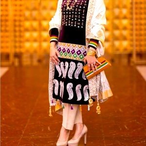 Velvet Pakistani Dress formal